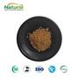 Green Coffee Bean Extract Powder Chlorogenic Acid 10%-50% Food Grade Plant 
