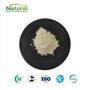 Centella Asiatica Extract Powder Total Triterpenes 80% Asiaticoside Madecas