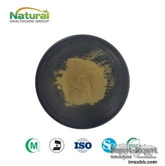 Hops Flower Extract 5% Flavones Yellow‑Brown Powder