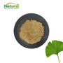24% Flavones 6% Lactones Active Phytocompound Ginkgo Biloba Leaf Extract Po