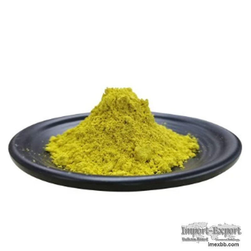 98% high purity Quercetin, natural Sophora japonica flower bud extract, ant
