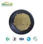 Melissa Powder Lemon Balm Powder Food & Cosmetic Grade