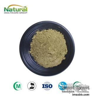 Melissa Powder Lemon Balm Powder Food & Cosmetic Grade
