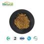 Ashwagandha Root Powder Withanolides 1%-10% UV Tes