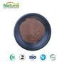 Ganoderma Extract Powder, Polysaccharides & Triterpenes 10:1‑20:1
