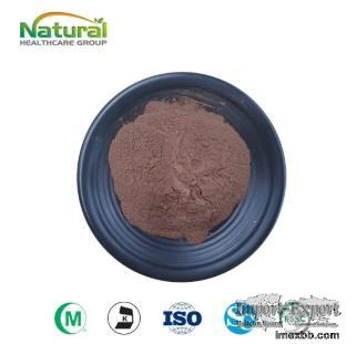  Ganoderma Extract Powder, Polysaccharides & Triterpenes 10:1‑20:1