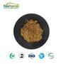 Bitter Orange Fruit Extract Powder Flavonoids 40% Spray‑dried