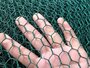 Hexagonal Wire Netting