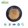 Orange Peel Powder Citrus Aurantium Dulcis Peel Powder Spray Dried