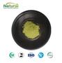 Premium Barley Green Juice Powder - Freeze Dried, Rich in Chlorophyll & Fib