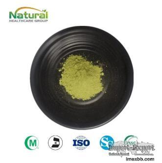 Premium Barley Green Juice Powder - Freeze Dried, Rich in Chlorophyll & Fib