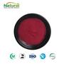 Premium Red Beet Root Powder - Natural Food Colorant & Nutrient Source