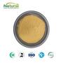 High Quality Cnidium Monnieri Powder - Natural Herbal Extract