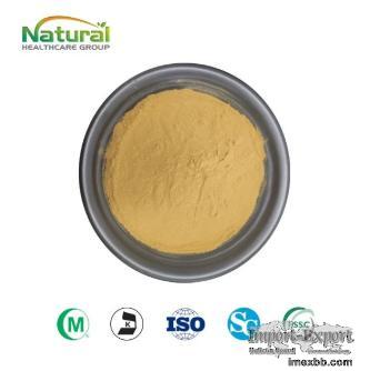 High Quality Cnidium Monnieri Powder - Natural Herbal Extract