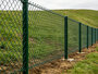 Chain Link Fence