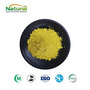 Factory Direct - 98% Quercetin Powder Sophora Japonica Extract CAS 117-39-5