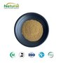 Ajuga Turkestanica Extract Powder Standardized 2% Turkesterone Botanical 