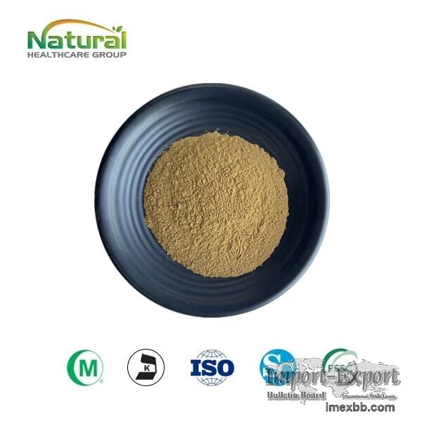 Ajuga Turkestanica Extract Powder Standardized 2% Turkesterone Botanical 