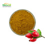 Natural 10:1 20:1 Water Soluble Rich in Flavones Rose Rosa Damascena Extrac