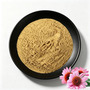 Echinacea Purpurea Plant Extract Powder 4% Cichoric Acid Herbal Supplement 
