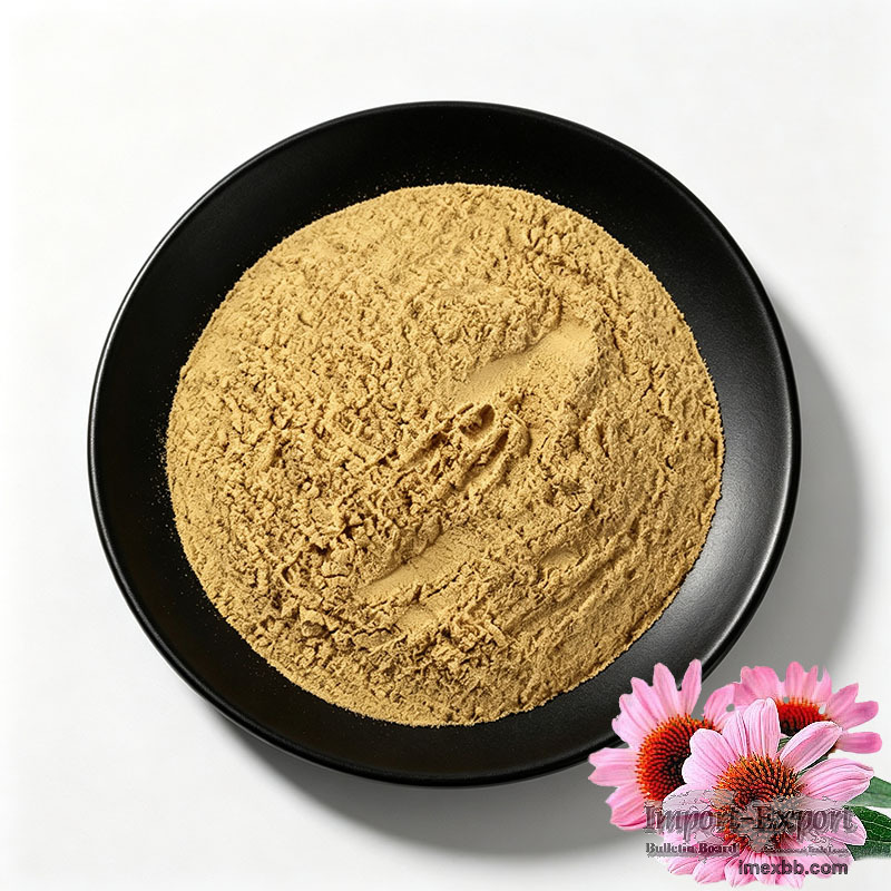 Echinacea Purpurea Plant Extract Powder 4% Cichoric Acid Herbal Supplement 