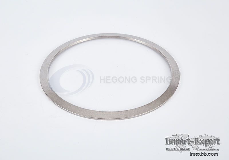 Disc Springs for Valves
