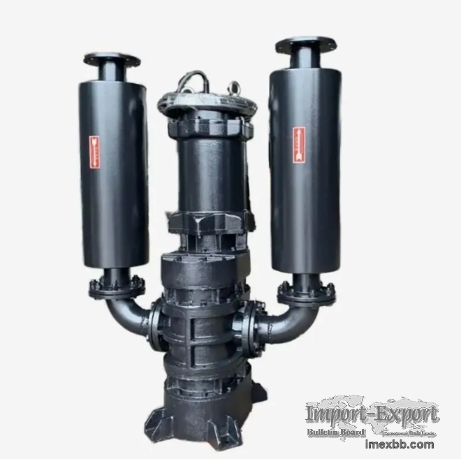 Rzsw-100 Submersible Roots Blower/Roots Type Blower