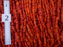 Natural coral