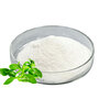 Andrographis Paniculata Extract Powder Natural Andrographolide 10%‑98% HPLC