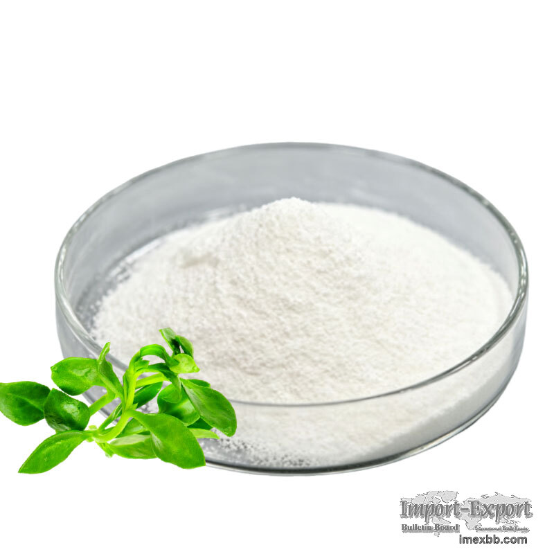 Andrographis Paniculata Extract Powder Natural Andrographolide 10%‑98% HPLC