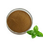 Factory Supply Peppermint Extract Powder Natural Peppermint Leaf Extract 10