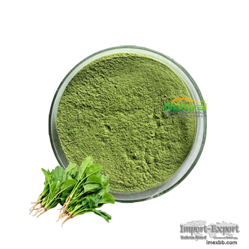 Natural Spinach Extract Powder Spinacia Oleracea Leaf Extract Water Soluble