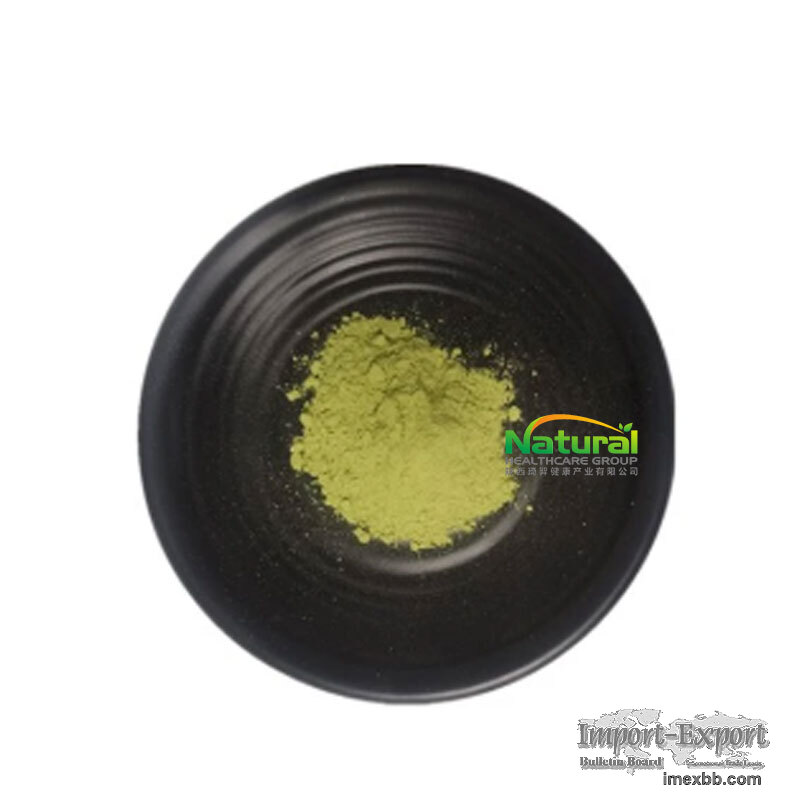 Natural Barley Grass Juice Extract Powder Green Superfood Powder For Meal R