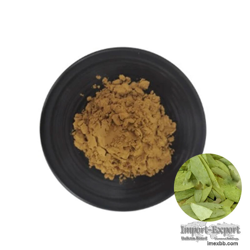 Bulk Senna Leaf Extract Powder Cassia Angustifolia Leaf Extract For Herbal 