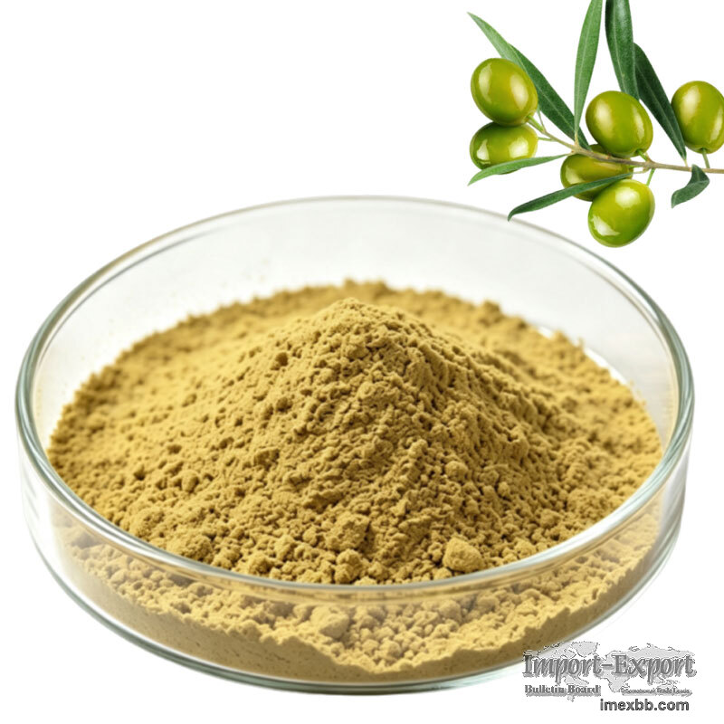 Natural Olive Leaf Extract Powder Oleuropein HPLC Tested Herbal Raw Materia