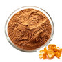 Natural Citrus Aurantium Bitter Orange Extract Powder Standardized Synephri