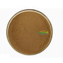 Factory Supply Hericium Erinaceus Extract Natural Lion's Mane Mushroom Extr