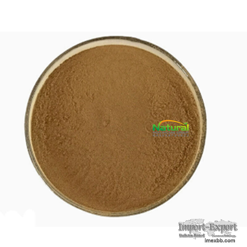 Factory Supply Hericium Erinaceus Extract Natural Lion's Mane Mushroom Extr