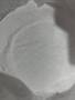 Pregabalin CAS: 148553-50-8
