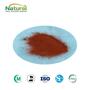 Ferrous Fumarate Powder Food Grade