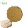 Factory Supply Enoki Mushroom Extract Powder 10% 50% Polysaccharide Organic