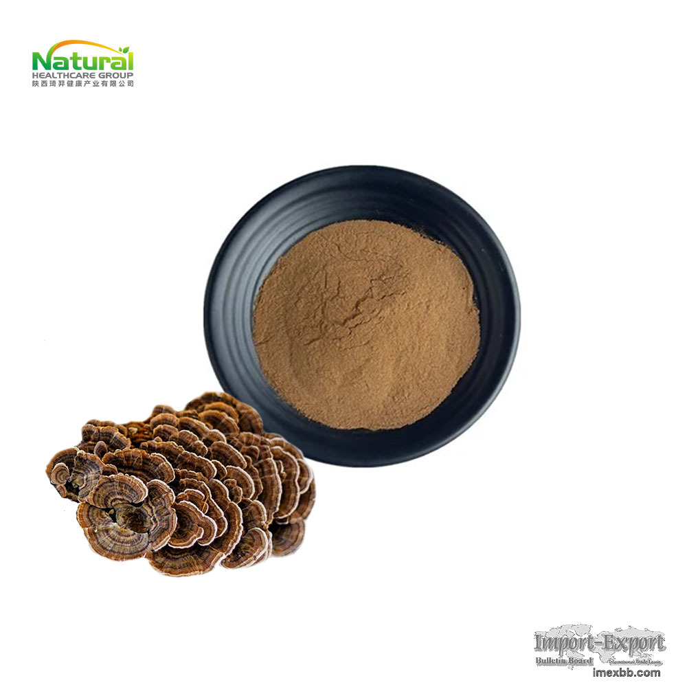 Factory Bulk Turkey Tail Mushroom Extract 10%‑50% Polysaccharides Trametes 