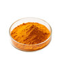 Wholesale Spray‑Dried Pumpkin Fruit Juice Powder Food Grade Water‑Soluble N