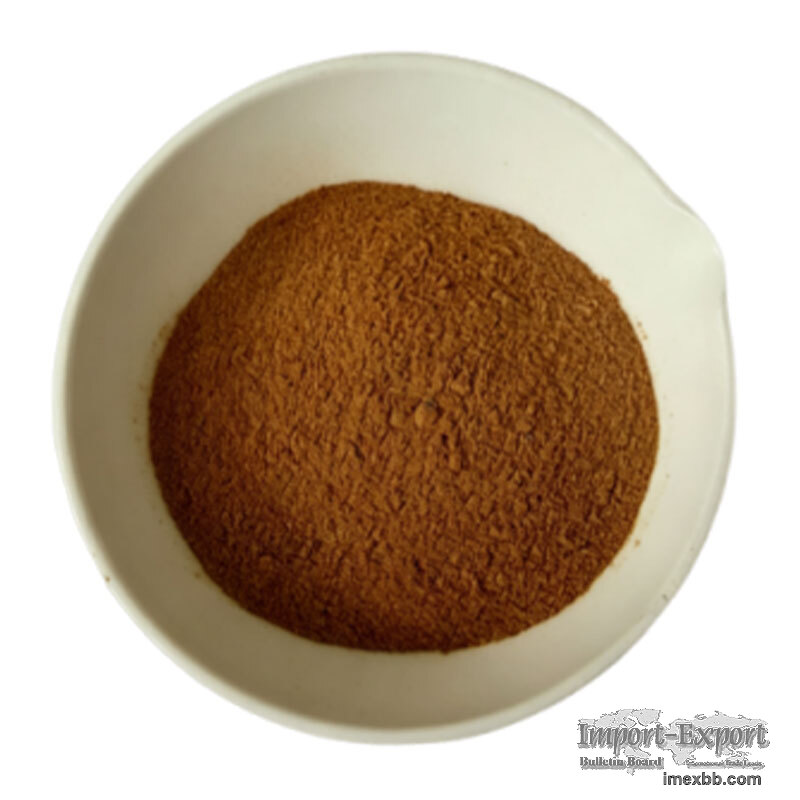 Natural Maitake Mushroom Extract Powder, 30%‑50% Polysaccharides Grifola Fr