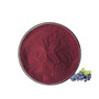 Natural Vitis Vinifera Grape Skin Extract Powder, 10%‑20% Anthocyanins UV T