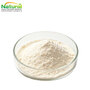 Wholesale Natural Apple Juice Powder Spray‑Dried Water‑Soluble Fruit Powder
