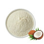 Wholesale Natural Freeze‑Dried Coconut Powder, 100% Pure Coconut Meat Milk 