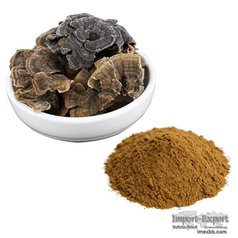 Natural Coriolus Versicolor Mushroom Extract Powder, 10%‑50% Polysaccharide