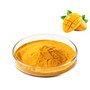 Natural Mango Fruit Extract Powder, 5%‑20% Polyphenols UV Tested Food‑Grade