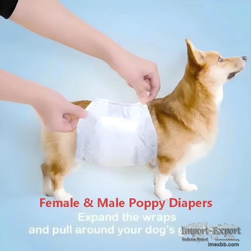 Male Dog Diapers – Disposable Dog Nappy, Puppy Training Pants & Belly Bands